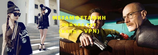 индика Верхний Тагил