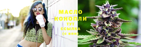индика Верхний Тагил