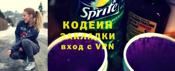 индика Волосово