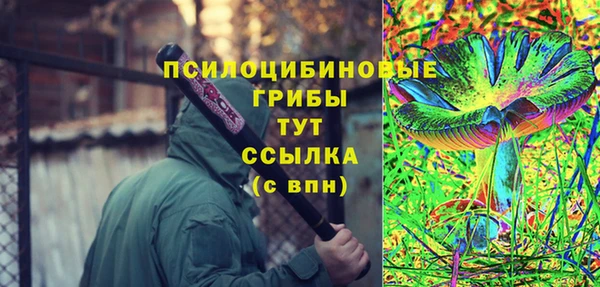 крисы Волоколамск