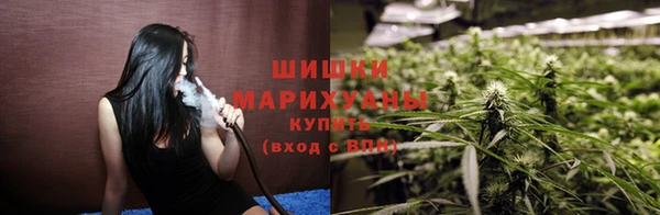 индика Верхний Тагил