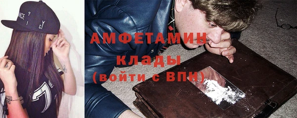 индика Верхний Тагил
