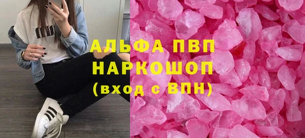 индика Волосово