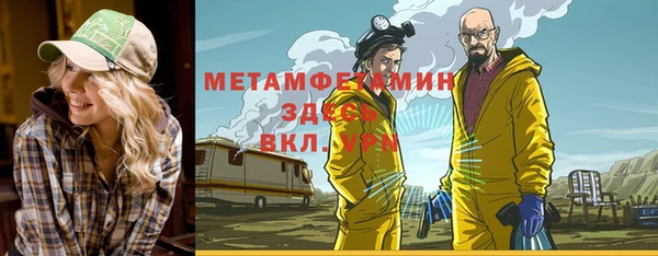 индика Волосово
