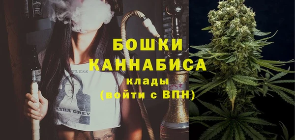 индика Волосово