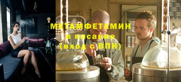 индика Верхний Тагил