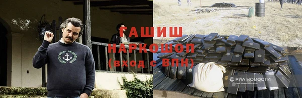 индика Верхний Тагил