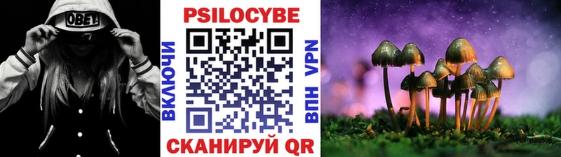 kraken рабочий сайт  как найти закладки  Батайск  Галлюциногенные грибы Psilocybe 